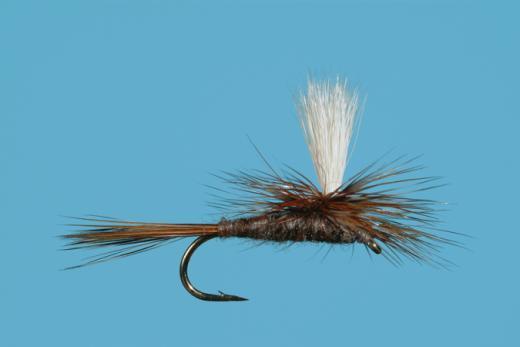 parachute adams dry fly