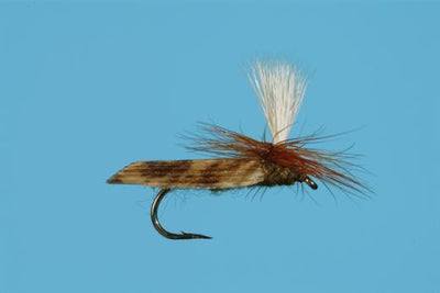 Parachute Caddis Dry Fly Olive