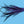 Pick 'Yer Pocket Purple Flies