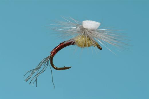 PMD Brook's Sprout Trout Flies