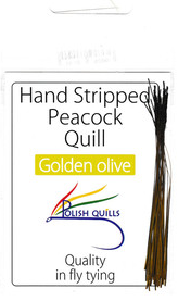 Polish Quills stripped peacock quills fly tying quill body golden olive