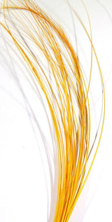 Quill Body Sulphur Orange Chenilles, Body Materials