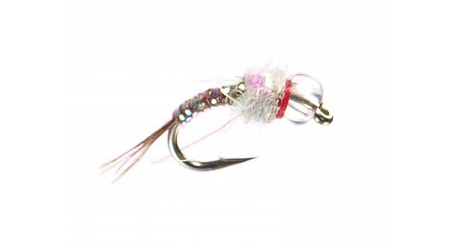 Rainbow Warrior Flies