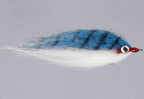 Rainy's CF Baitfish Blue/White / 2/0 Flies