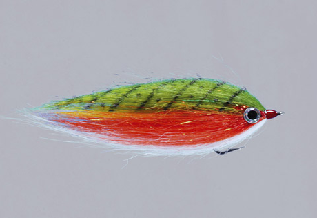 Rainy's CF Baitfish Brookie / 2 Flies