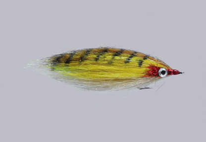 Rainy's CF Baitfish Brown Trout / 2 Flies