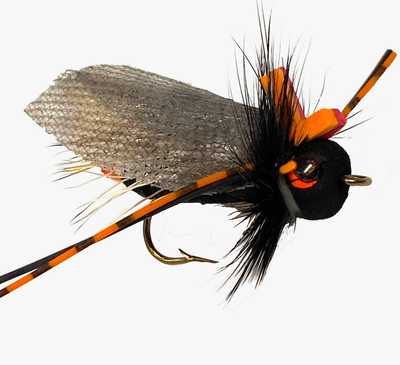 Rainy's Ultimate Cicada Black/Orange / 8 Flies