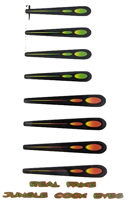 Real Fake Jungle Cock Eyes Chartreuse / Sunshine Orange Beads, Eyes, Coneheads