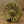Redington Behemoth Reel Spool Desert / 5/6 Fly Reel