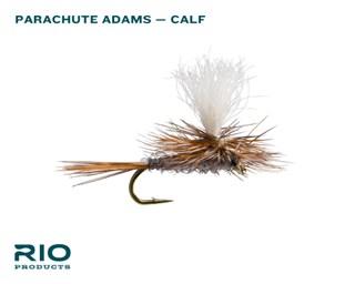 Rio Basic Trout Assortment Default Flies