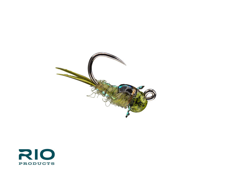 RIO Bug Nugget Olive / 12 Flies