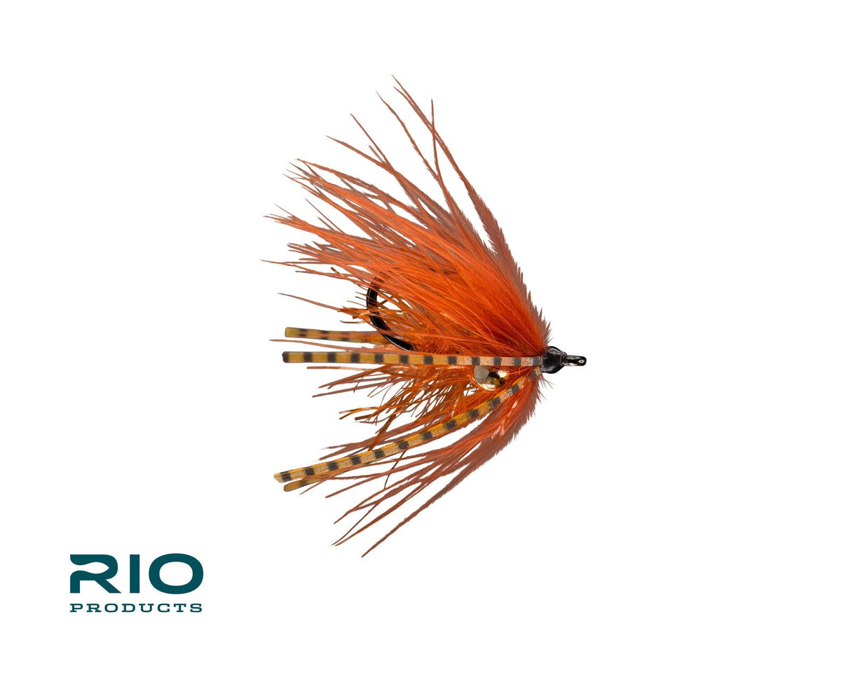 RIO Carpdashian Rusty / 6 Flies