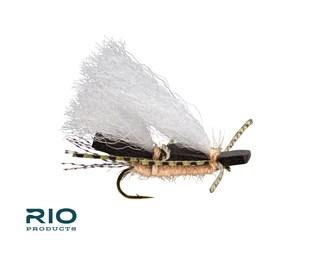 RIO Chubby Chernobyl Black and Tan / 14 Flies