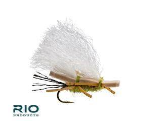 RIO Chubby Chernobyl Olive / 16 Flies