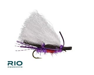 RIO Chubby Chernobyl Royal Purple / 14 Flies