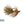 RIO Gold Jigger Brown Flies