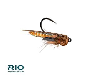 RIO Puparazzi Honey / 16 Flies