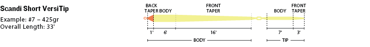 Rio Scandi Short VersiTip Fly Line