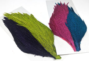 Salmon Steelhead Dyed Grizzly Starter Cape Set 4 colors Saddle Hackle, Hen Hackle, Asst. Feathers