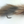 Sculpzilla 8 / Natural Trout Flies