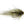 Simi Seal Leech Bead Head Peacock