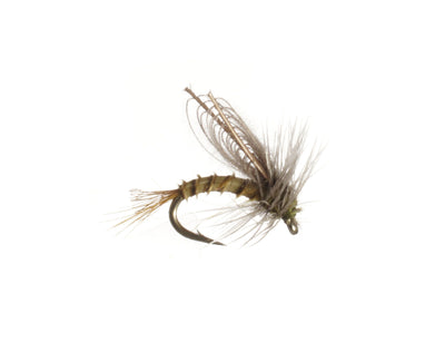 Smith's CDC Blue Winged Olive Emerger 18 Trout Flies