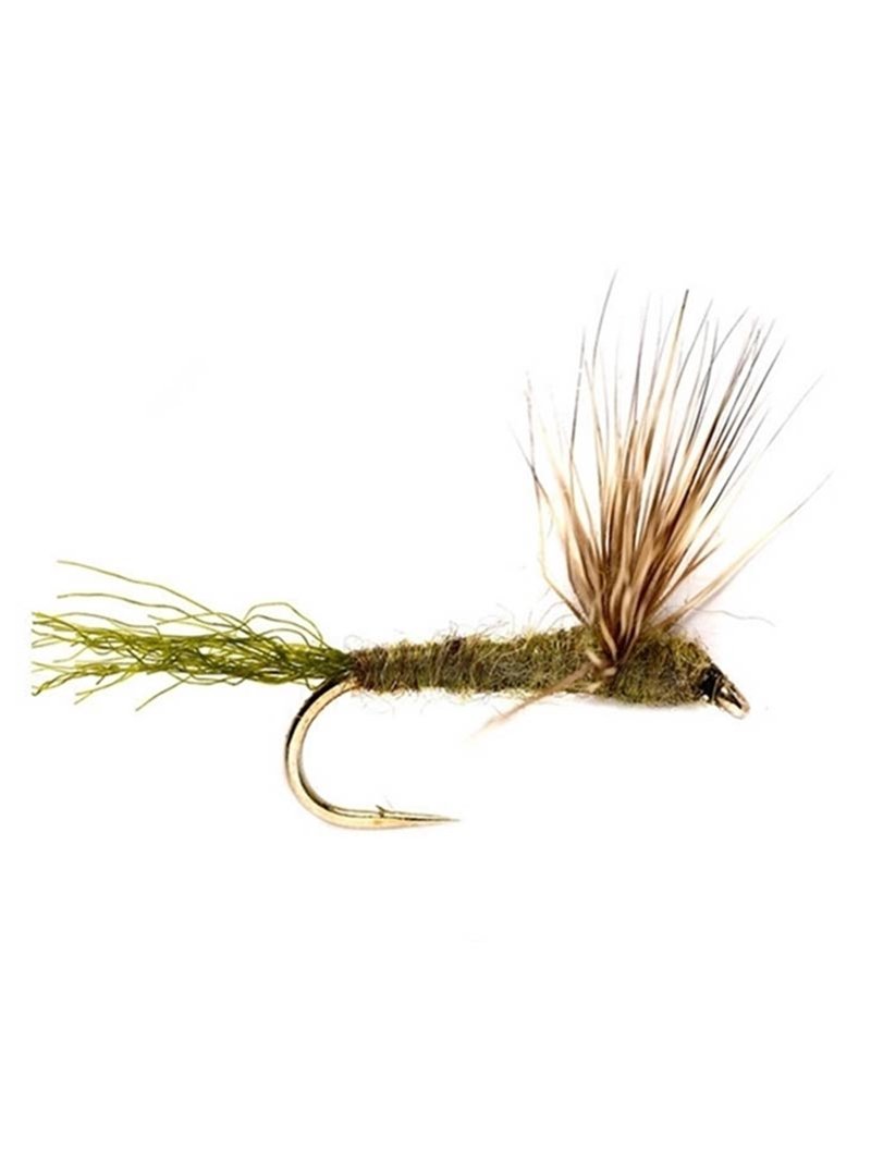 Sparkle Dun Baetis Olive / 22 Flies