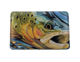 Standard Lycra Covered Trout Design Fly Box Fly Box