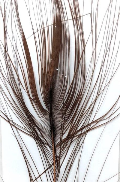 Stripped Peacock Eye #310 Red Quill Saddle Hackle, Hen Hackle, Asst. Feathers