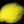 Sybai Icelandic Sheep Yellow Hair, Fur