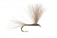 The Student Olive Dry Fly Pattern