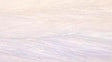 Translucy Fly Brush White / 1" Chenilles, Body Materials