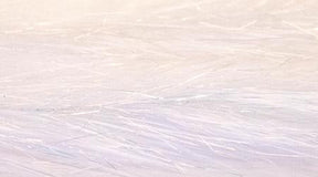 Translucy Fly Brush White / 1" Chenilles, Body Materials