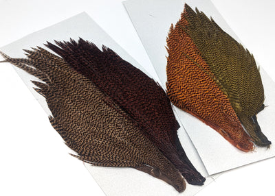 Trout Streamer Dyed Grizzly Starter Cape Set 4 colors Saddle Hackle, Hen Hackle, Asst. Feathers