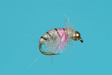 Tungsten Rainbow Czech Nymph Trout Fly Fishing Flies