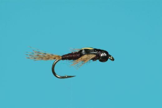 Tungsten Split Case PMD Nymph