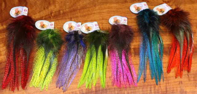 UV2 Coq de Leon Perdigon Fire Tail Feathers fly tying