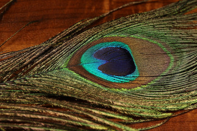 Spirit River UV2 Peacock Eyes Natural 4 Per Bag