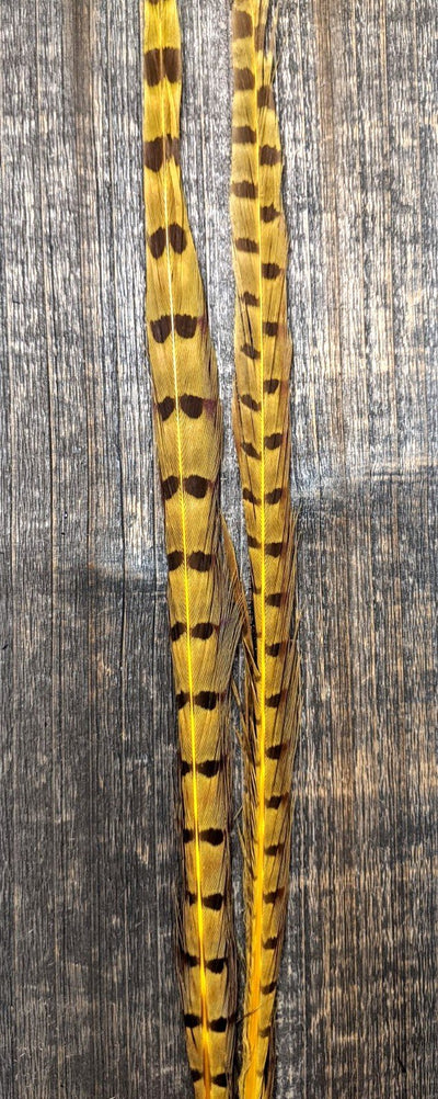 UV2 Ringneck Pheasant Tail Yellow #075 Saddle Hackle, Hen Hackle, Asst. Feathers