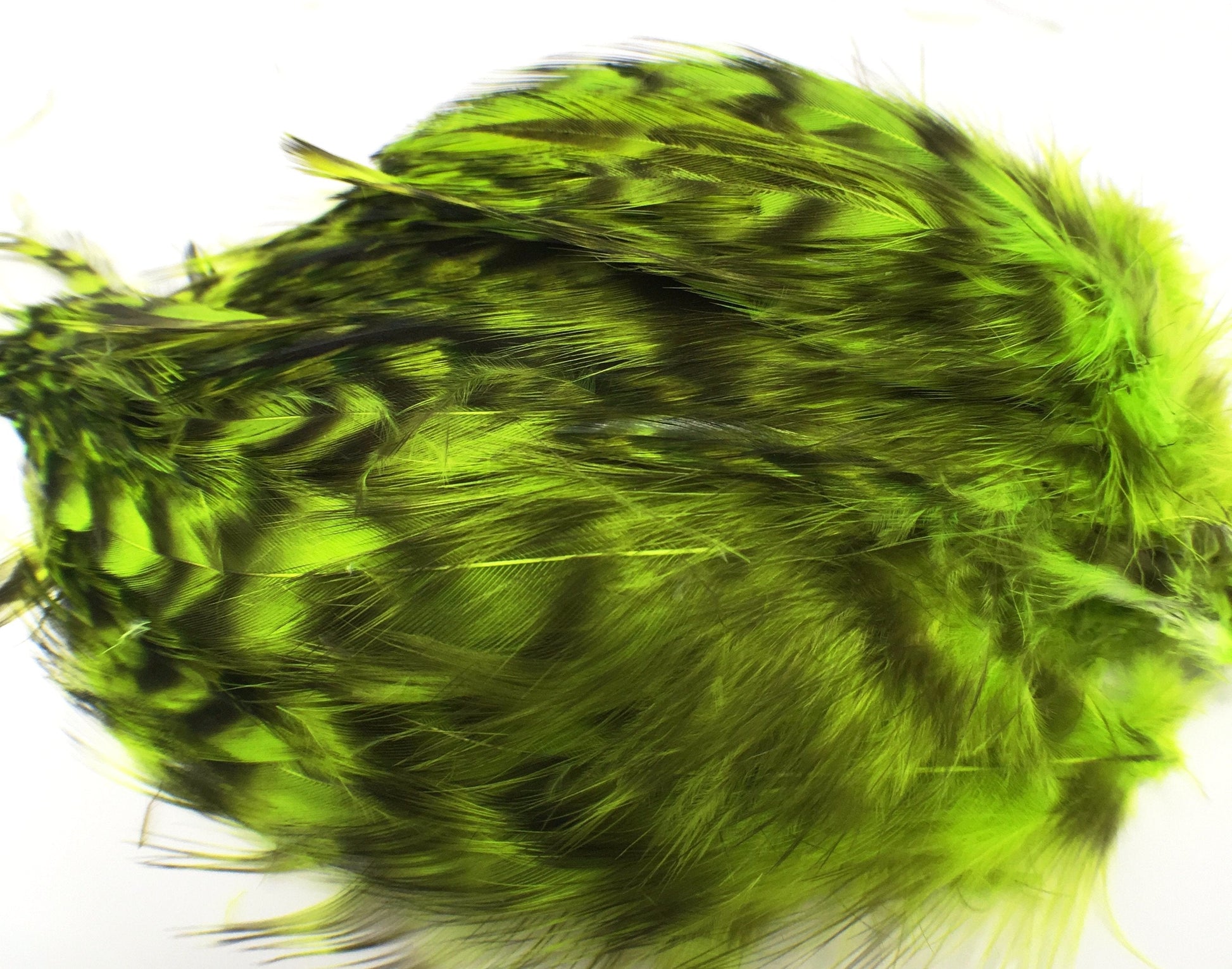 Wapsi Barred Neck Hackle Strung Fl Chartreuse