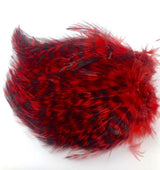 Wapsi Barred Neck Hackle Strung Red Saddle Hackle, Hen Hackle, Asst. Feathers