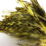 Wapsi Barred Neck Hackle Strung Yellow