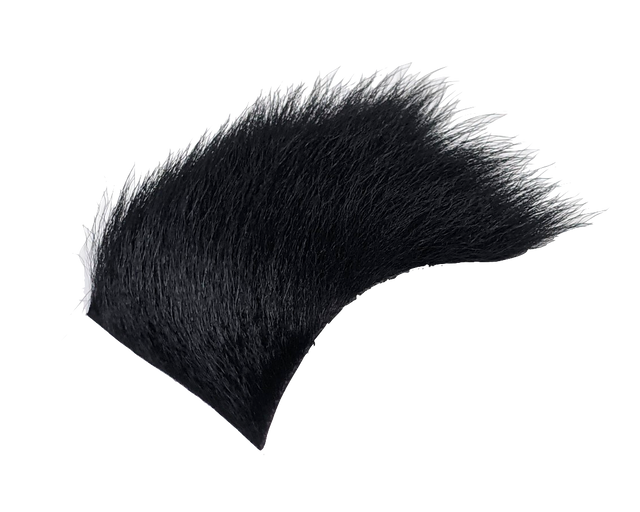 Wapsi Calf Body Hair Black Hair, Fur