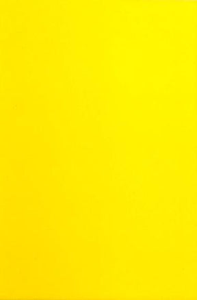 Wapsi Fly Foam 3mm Yellow Chenilles, Body Materials