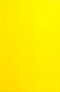 Wapsi Fly Foam 3mm Yellow Chenilles, Body Materials