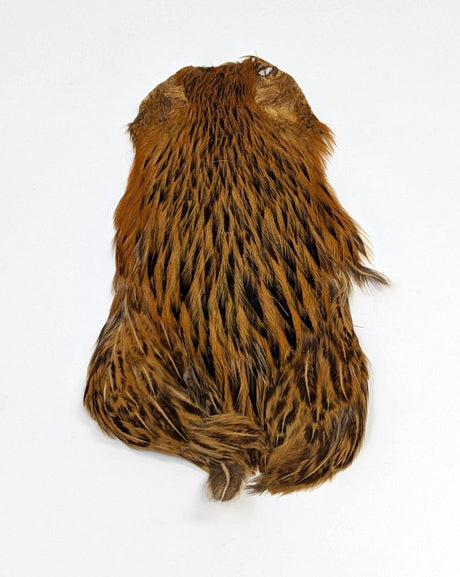 Wapsi Hen Neck Badger Saddle Hackle, Hen Hackle, Asst. Feathers