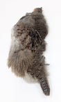 Wapsi Hungarian Partridge Half Skin Natural Saddle Hackle, Hen Hackle, Asst. Feathers