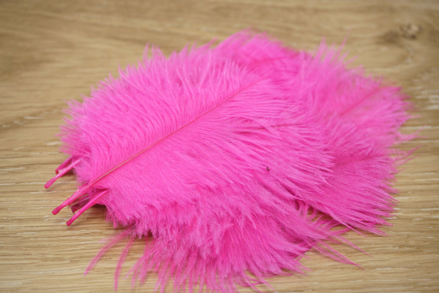 Wapsi Ostrich Marabou Fl Pink