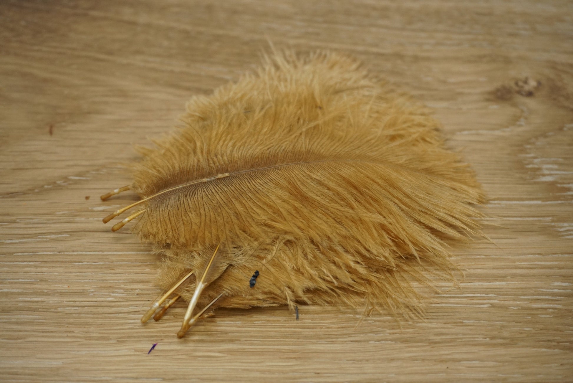 Wapsi Ostrich Marabou Ginger