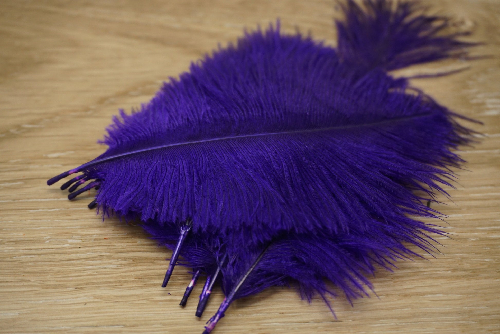 Wapsi Ostrich Marabou Purple